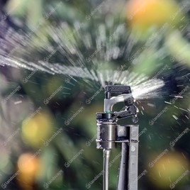 Mini 360 Border Sprinklers on 300mm Stake