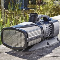 Oase Aquarius Eco Expert Fountain Pumps - 240v