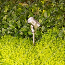 LuxR M4 LED Spike Spotlights - s/steel