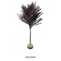 Gripple Tree Anchoring Kits (weighted fixing)