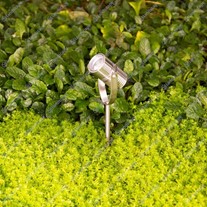LuxR M2 LED Spike Spotlights - s/steel