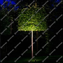 Ortus spike spotlight with 3.4w LED lamp