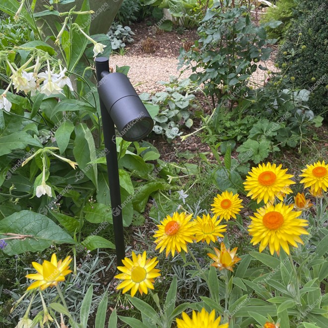 Ortus Single Adjustable Pole Lights - black alu