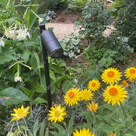 Ortus Single Adjustable Pole Lights - black alu
