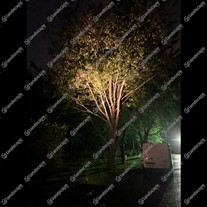 Ortus spike spotlight with 6.1w LED lamp