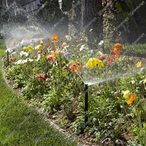 Hunter Pro-Spray Pop-Up Sprinklers
