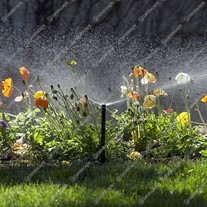Hunter Pro-Spray Pop-Up Sprinklers