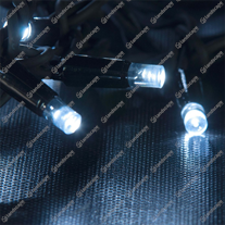 ConnectPro String Lights - n/white