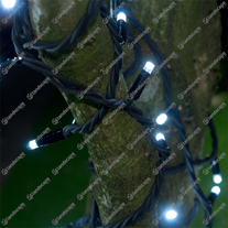 ConnectPro String Lights - n/white