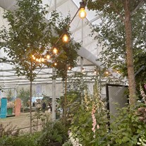 Credit: Dave Green Gardens
