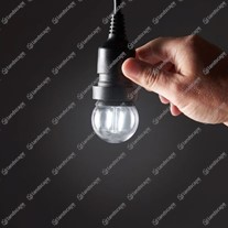 FestoonPro LED Lamps - E27 - clear