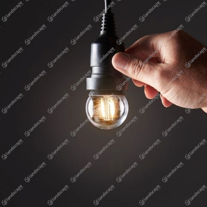 FestoonPro LED Lamps - E27 - clear