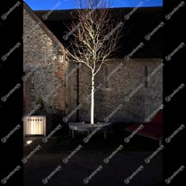 Images CO Gaze Burvill