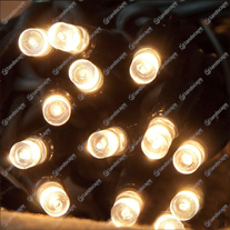 ConnectPro String Lights - w/white