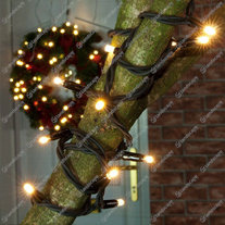 ConnectPro String Lights - w/white