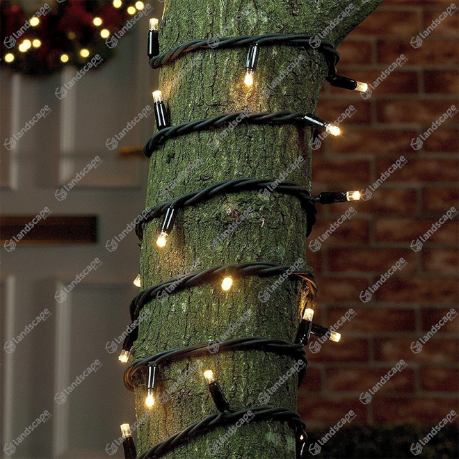 ConnectPro String Lights - w/white