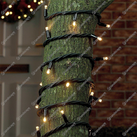ConnectPro String Lights - w/white