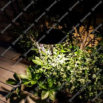 Credit: Amber Hine - Hine Garden Design