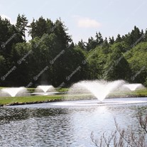 Otterbine Sunburst Lake Aerating Fountains