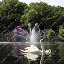 Otterbine Equinox Lake Aerating Fountains