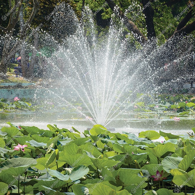Otterbine Equinox Lake Aerating Fountains