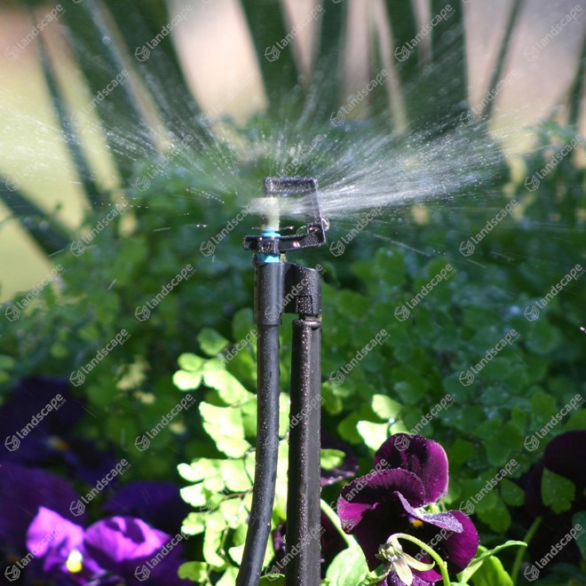 Mini 360 Border Sprinklers on 300mm Micro Riser