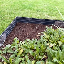 Ortus Lawn & Path Edging - Matt Anthracite