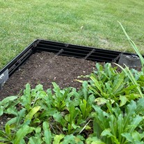 Ortus Lawn & Path Edging - Matt Black