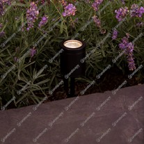 Hunza Spike Spots - Eco black