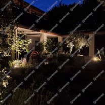 3w Spike Spots - Credit: Adam Vetere Garden Design
