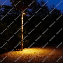 3w Tree Spots - Credit: Michelle Brandon Gardens
