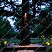 3w Tree Spots - Credit: Michelle Brandon Gardens