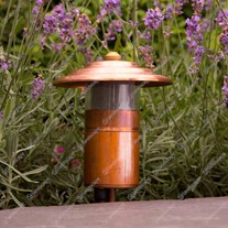 Hunza Fern Lights - copper