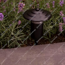 Hunza Fern Lights - Eco black