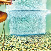 PNA8896 - Oase aeration ring - in-situ