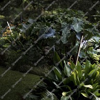 Atrio Interiores (MX)