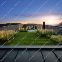W : Architekten (DE)