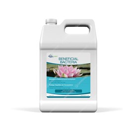 Aquascape Beneficial Bacteria