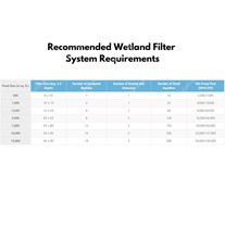 Recommended Wetland Filter System Requirements