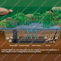 Example Aquascape "Wetland Filtration" System