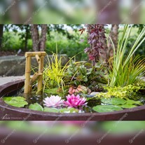 Aquascape Patio Pond Lifestyle - terra cotta - 32"
