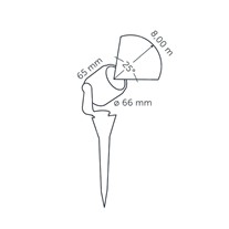IN-LITE® SCOPE Spike Spotlights - 12v