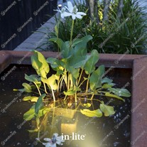 IN-LITE® SUB Pondlights - 12v