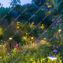 IN-LITE® MINI SWAY Planting Lights - 12v