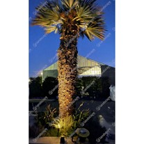 Mini Spike Spotlight @ 350mA (1w) - 3m Tree