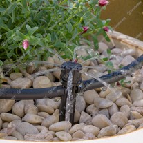 Adjustable in-line dripper on stake