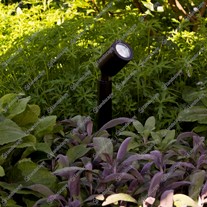 Hunza Pole Spots - Eco black