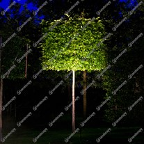 Collingwood High Power LED Hooded Spike Spotlights - black - 700mA