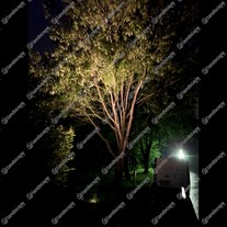 Collingwood High Power LED Bracket Lights - s/steel - 700mA