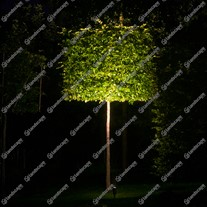 Hunza PURE LED Adjustable Spike Spots - copper